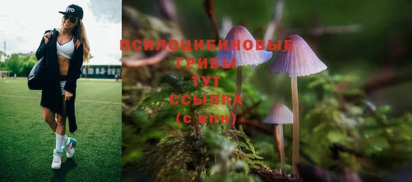 дурь Куйбышев