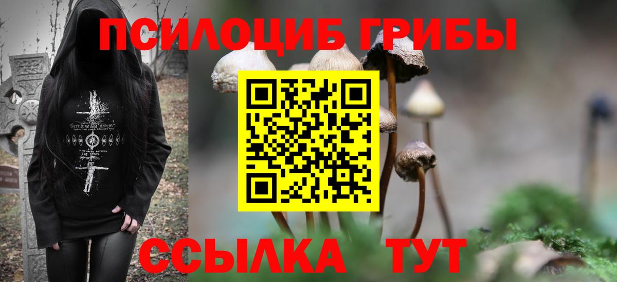 Галлюциногенные грибы MAGIC MUSHROOMS  Псилоцибиновые грибы Psilocybe  Вход с VPN  Ханты-Мансийск 